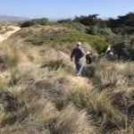 Rodney Grass 1