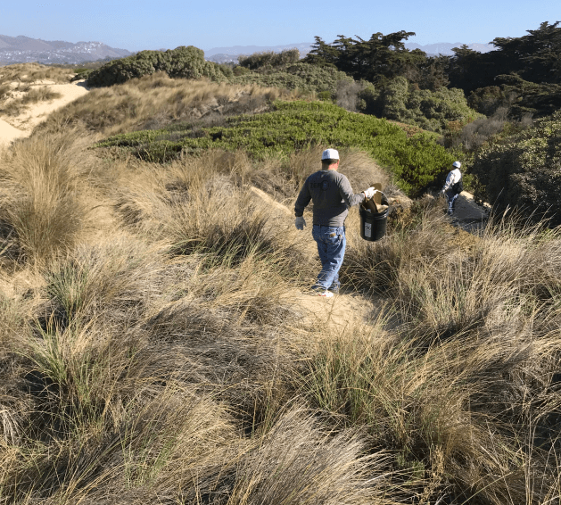 Two workers walking on beach dune landscape