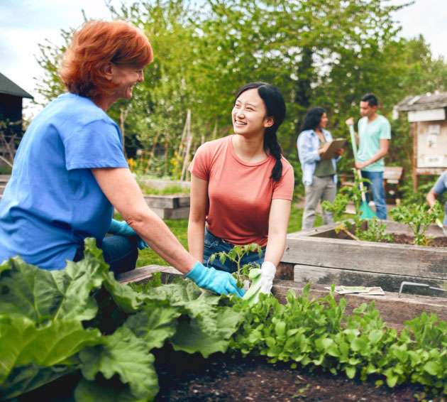 Two individuals working in a community garden