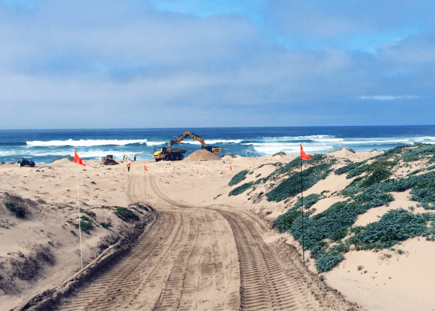 Excavator machinery working on an oceanfront beach