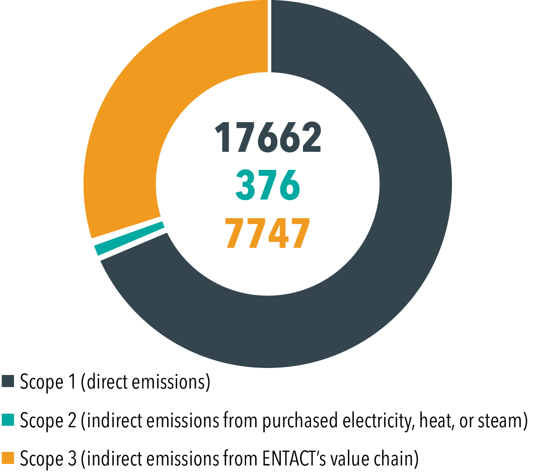 chart-1